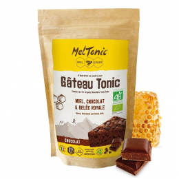 Gateau Tonic Chocolat