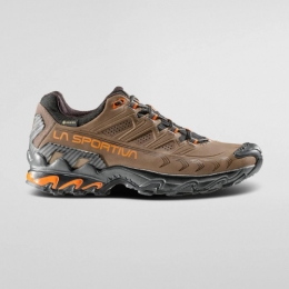 Ultra Raptor II Leather GTX