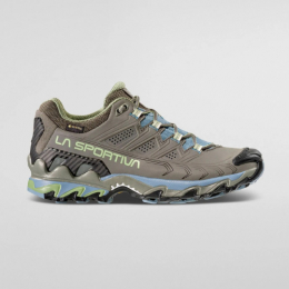 Ultra Raptor II Leather GTX W