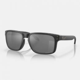 Holbrook Prizm Black Polarized