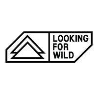 LOOKING FOR WILD